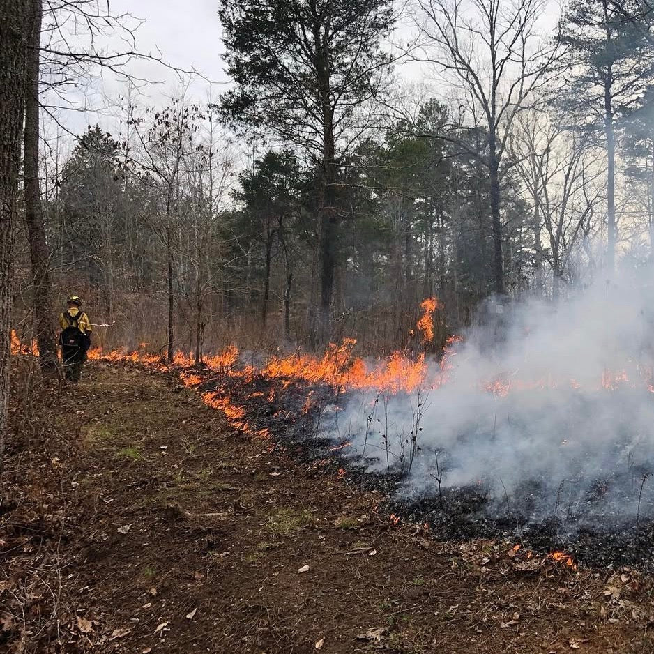 Custom listing for Charles