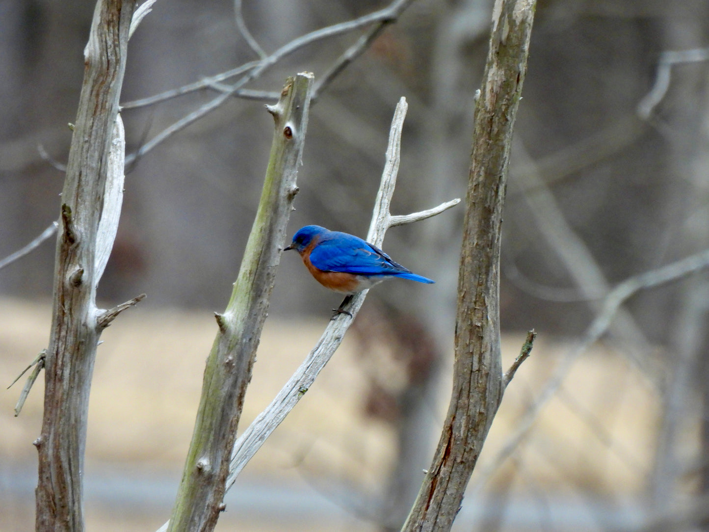 Canvas Map 18x24 (Deliverable Number 2) for Brian