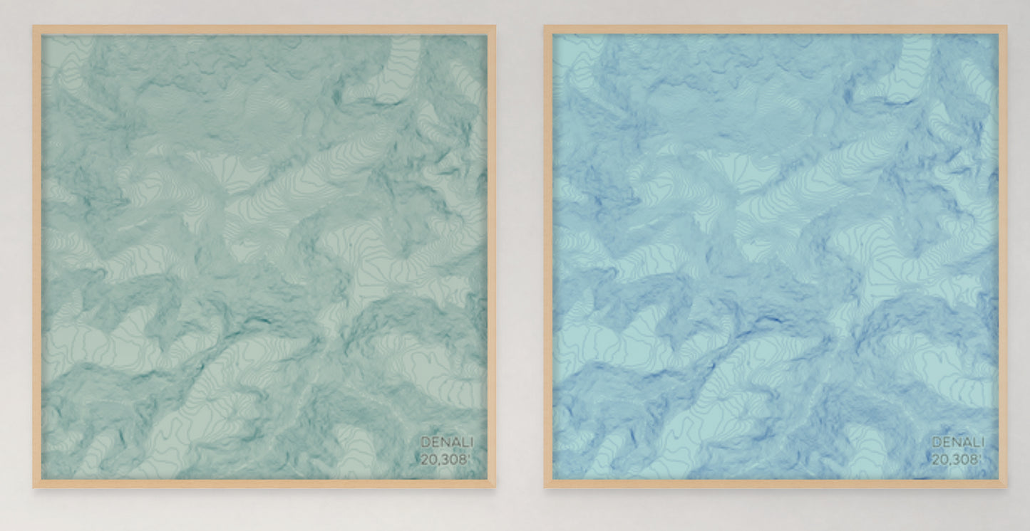 Denali Alaska Mountain Topographic Map