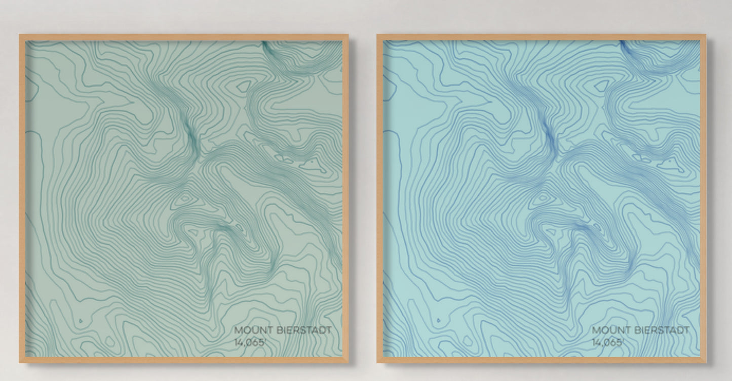 Mount Bierstadt Colorado Mountain Topographic Map