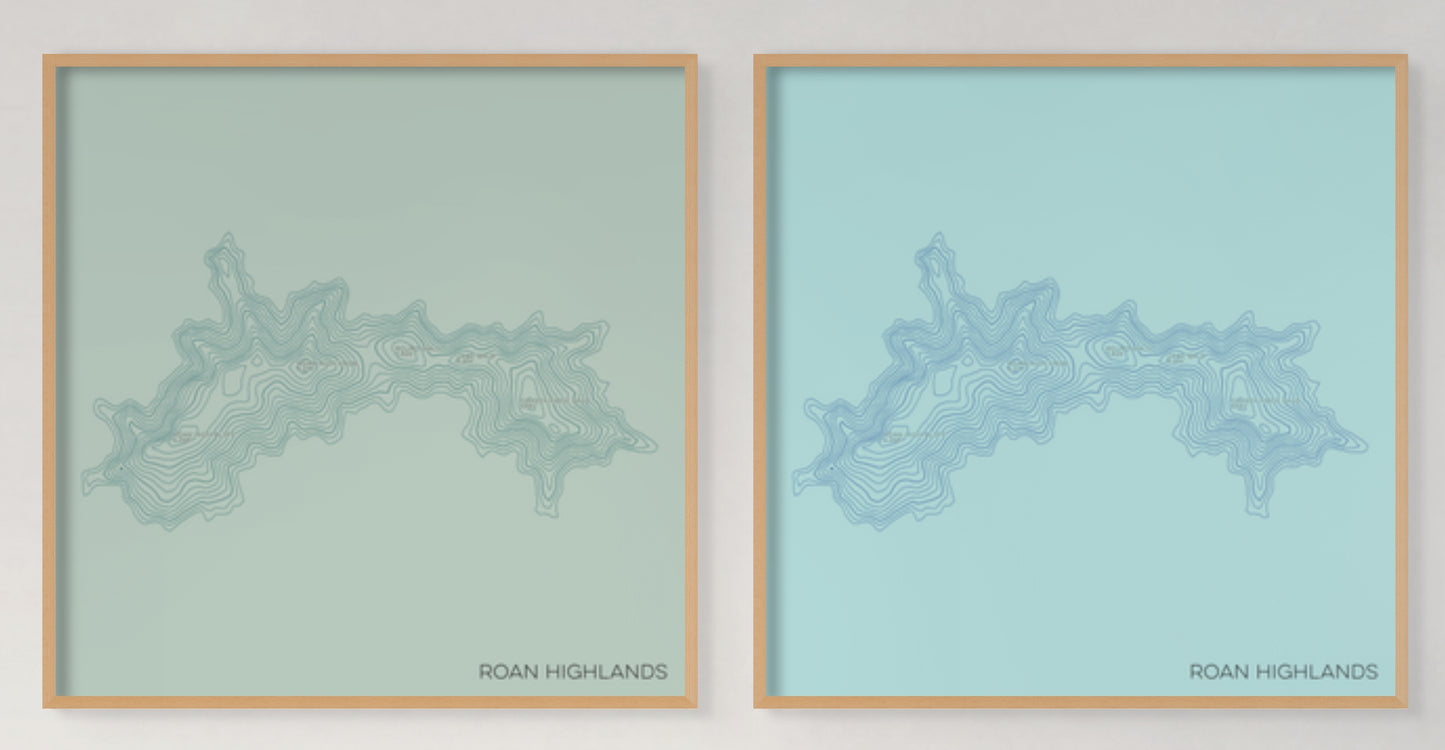 Roan Highlands at Carvers Gap North Carolina and Tennessee Mountain Topographic Map