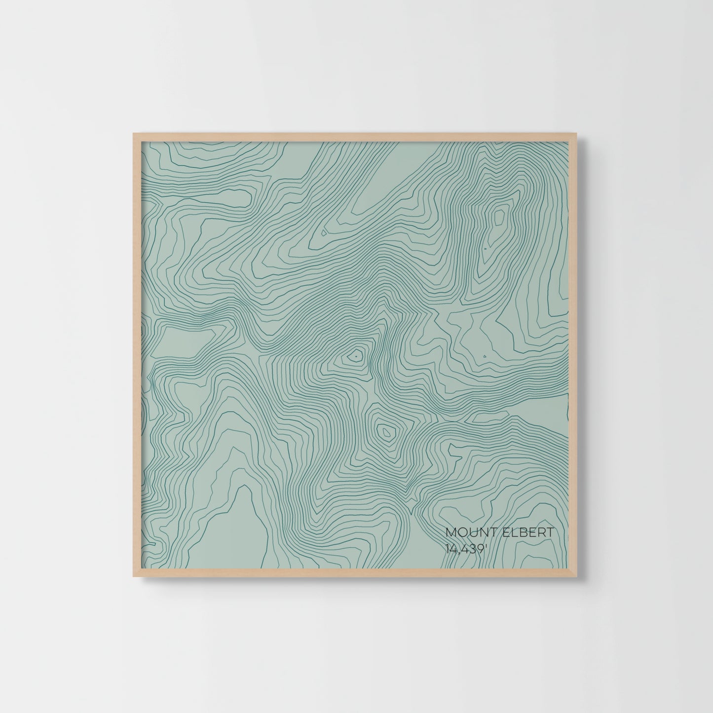 Mount Elbert Colorado Mountain Topographic Map