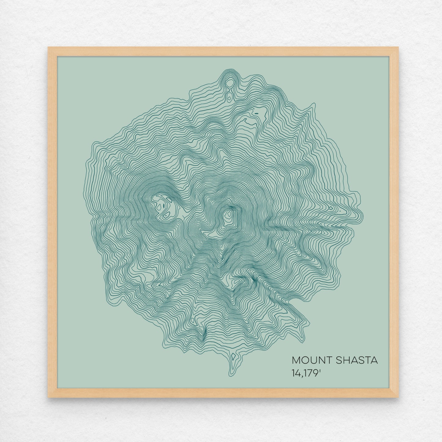 Mount Shasta California Mountain Topographic Map