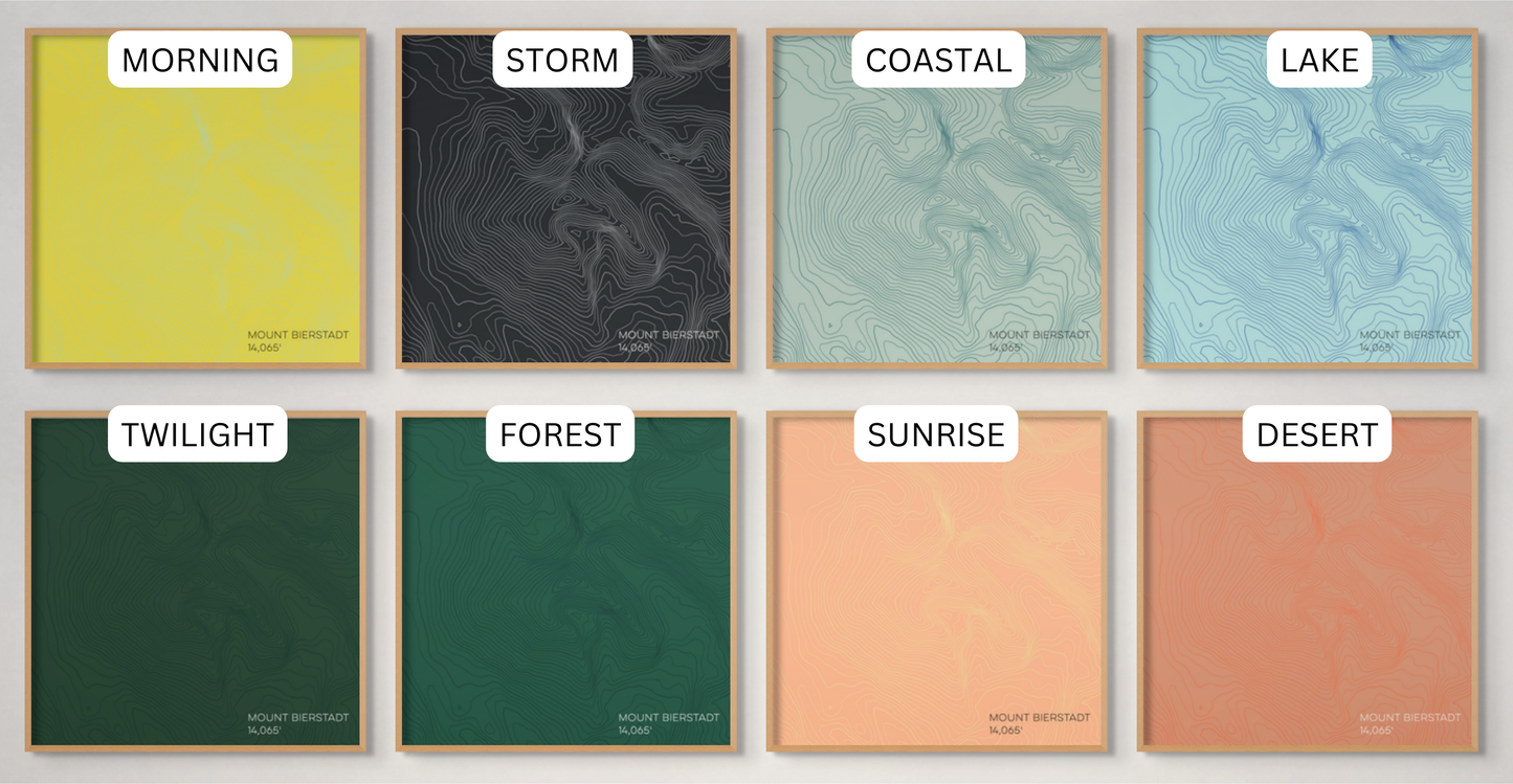 Mount Bierstadt Colorado Mountain Topographic Map