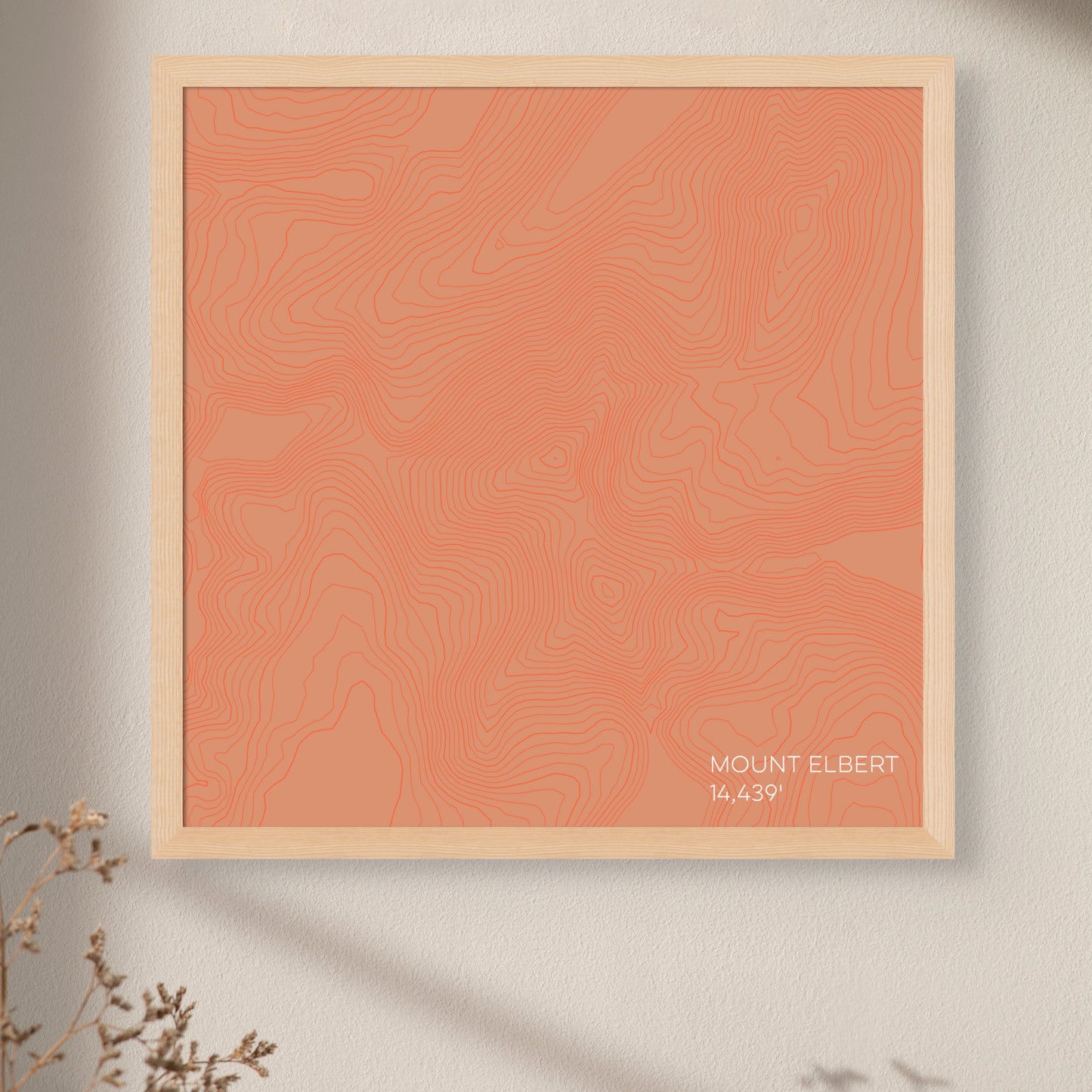 Mount Elbert Colorado Mountain Topographic Map