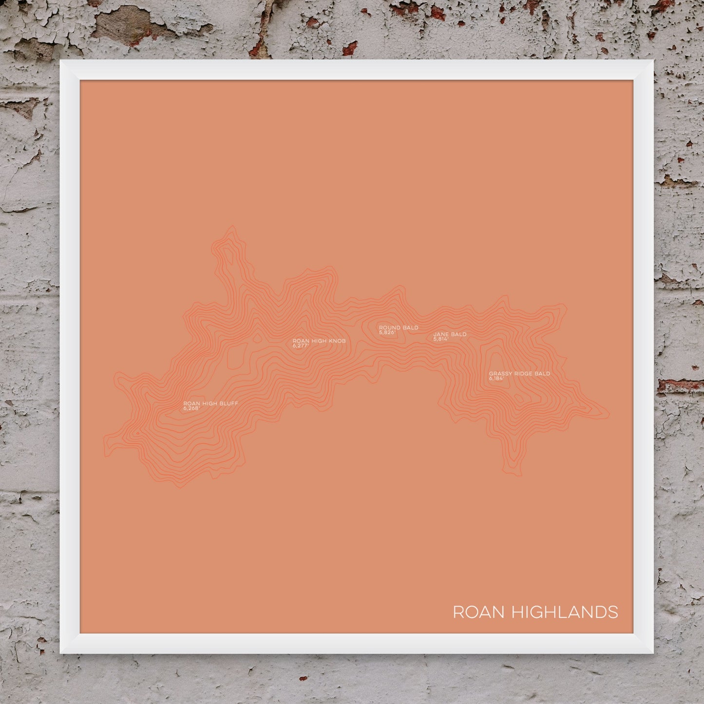 Roan Highlands at Carvers Gap North Carolina and Tennessee Mountain Topographic Map
