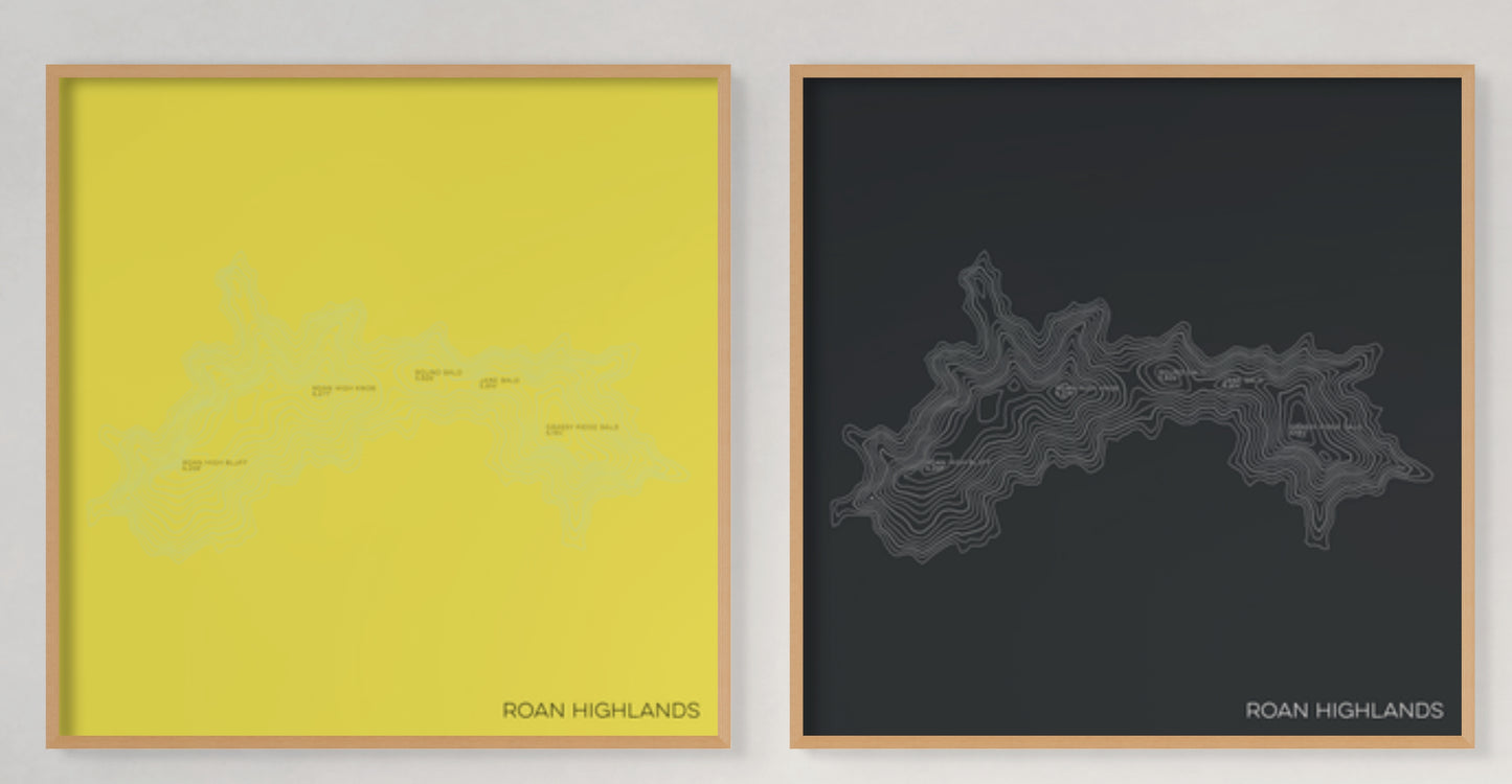 Roan Highlands at Carvers Gap North Carolina and Tennessee Mountain Topographic Map