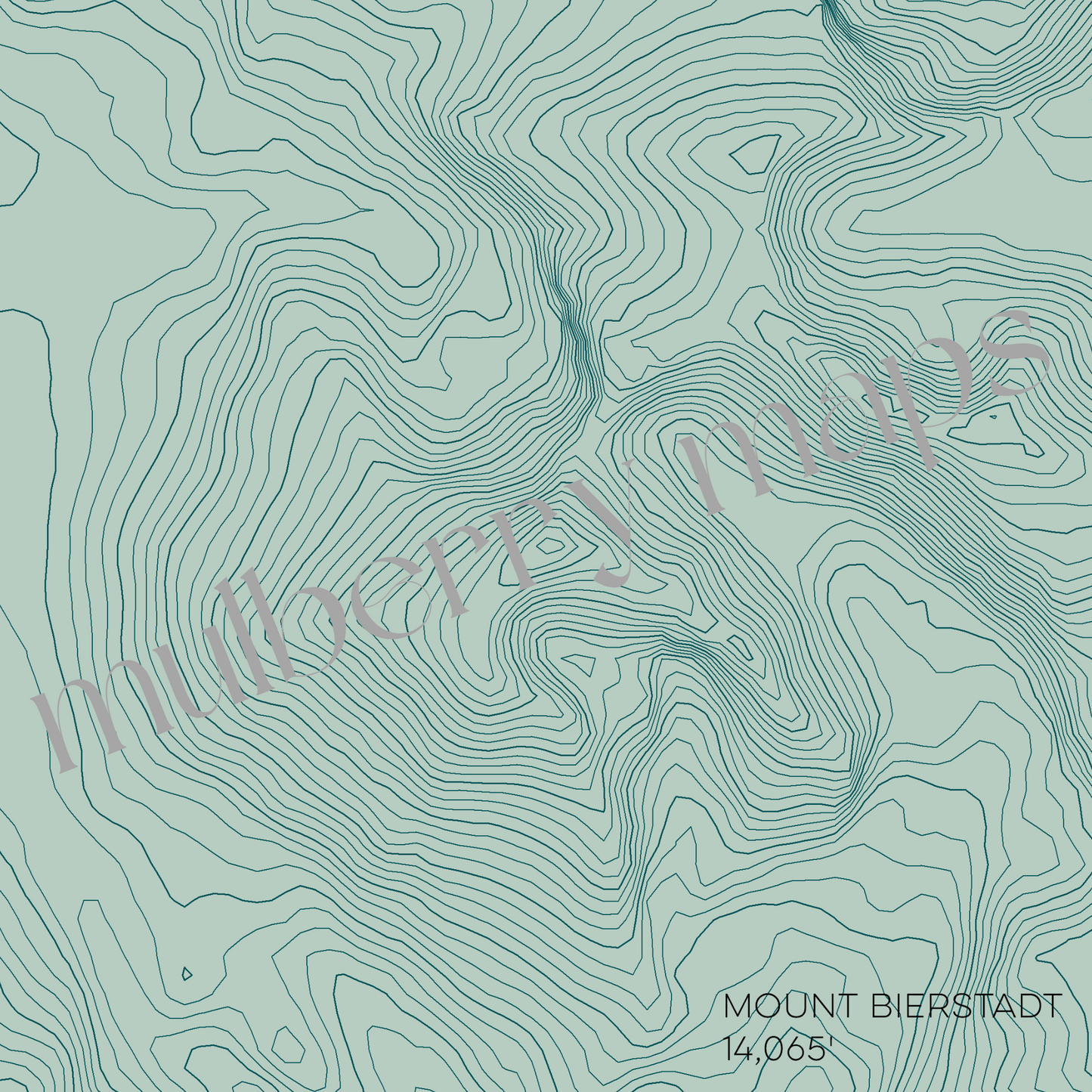 Mount Bierstadt Colorado Mountain Topographic Map