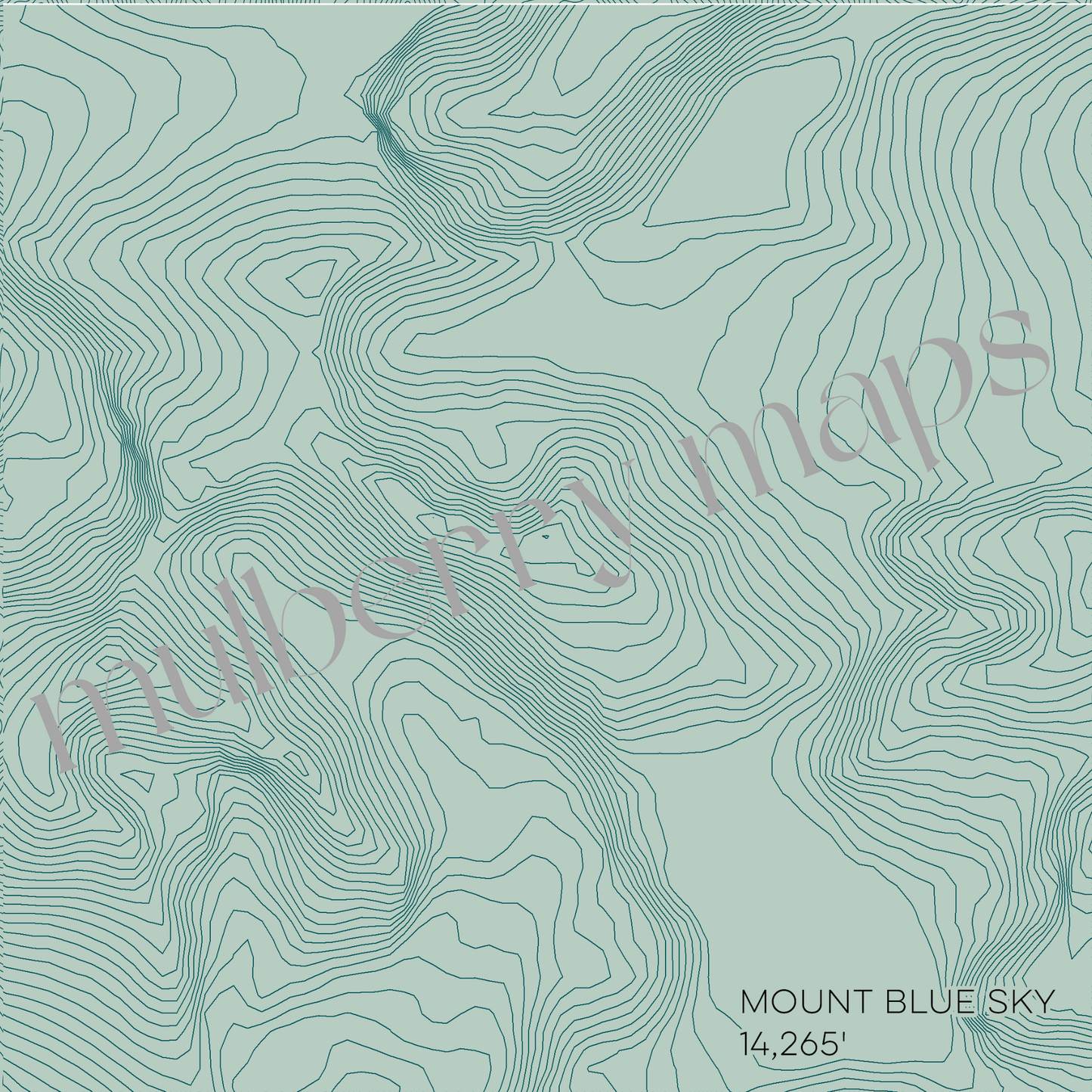 Mount Blue Sky Colorado Mountain Topographic Map