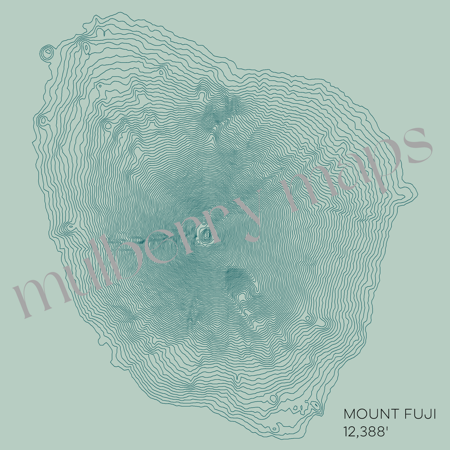 Mt Fuji Japan Mountain Topographic Map