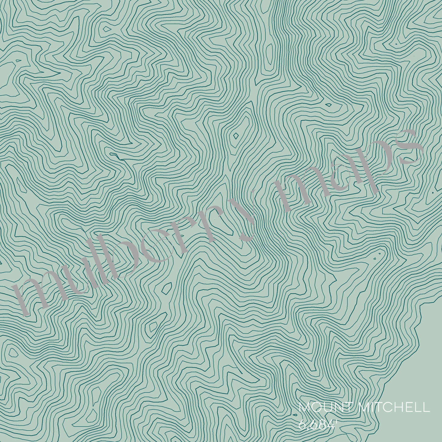 Mount Mitchell North Carolina Mountain Topographic Map