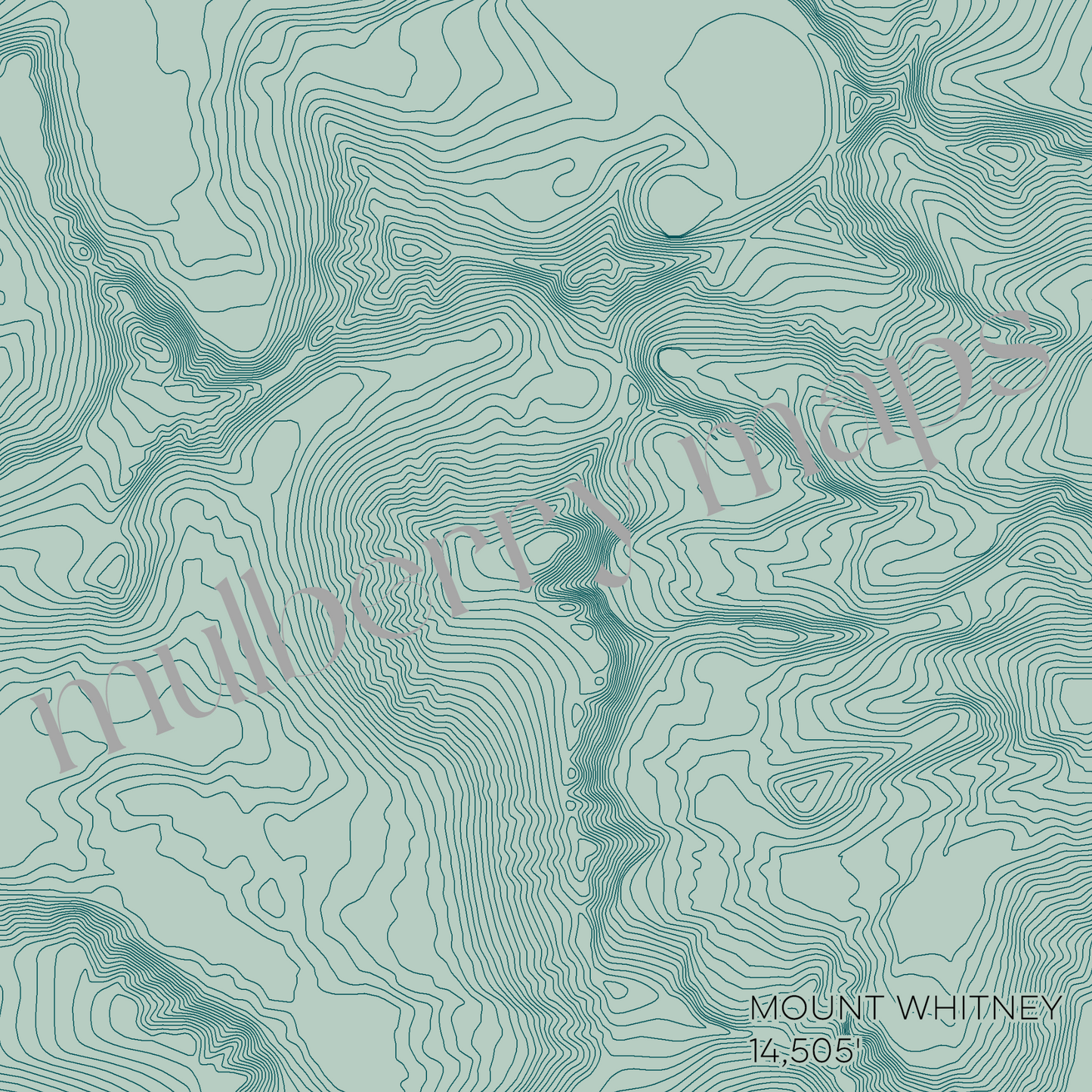 Mount Whitney California Mountain Topographic Map