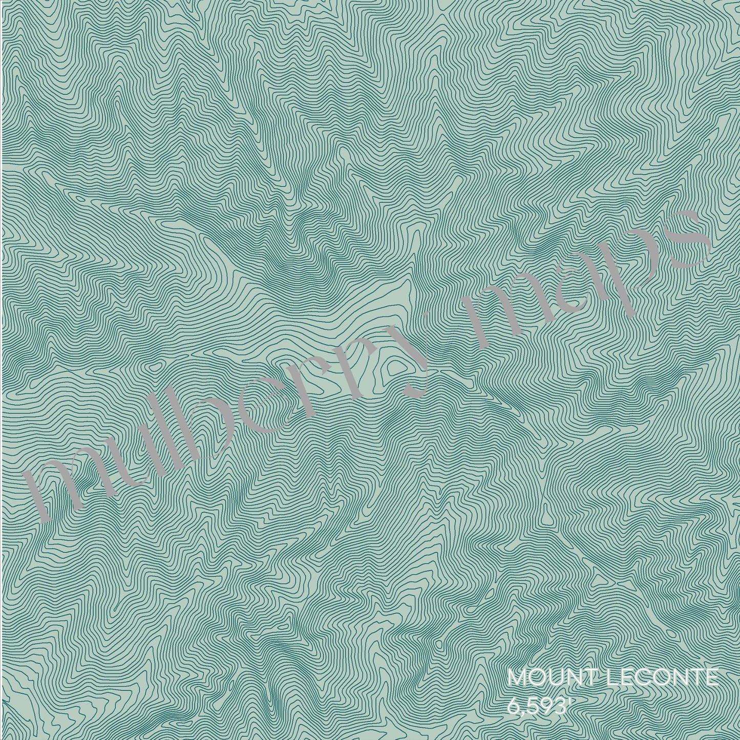 Mount LeConte Tennessee Mountain Topographic Map