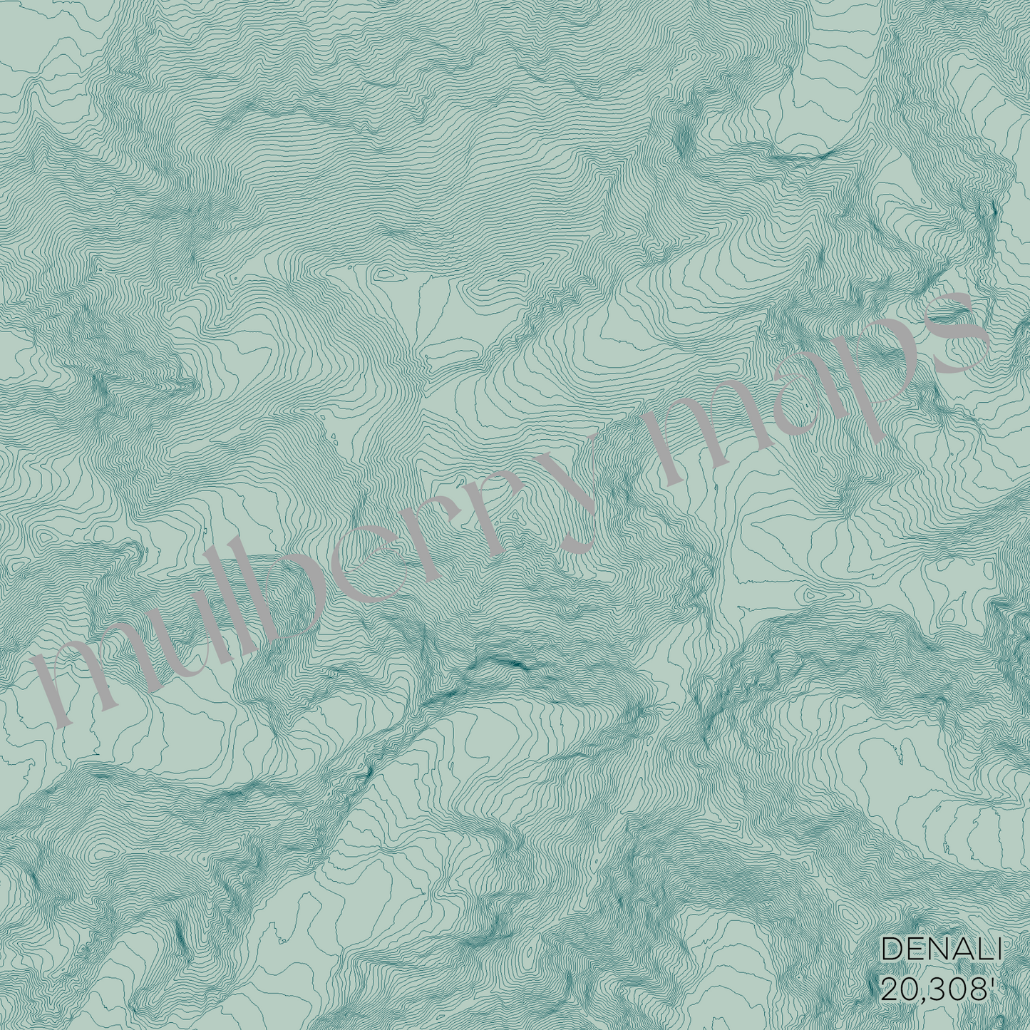 Denali Alaska Mountain Topographic Map