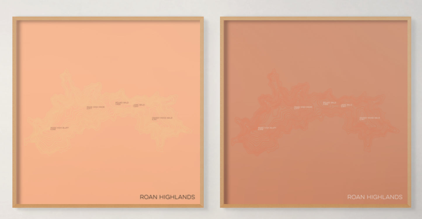 Roan Highlands at Carvers Gap North Carolina and Tennessee Mountain Topographic Map