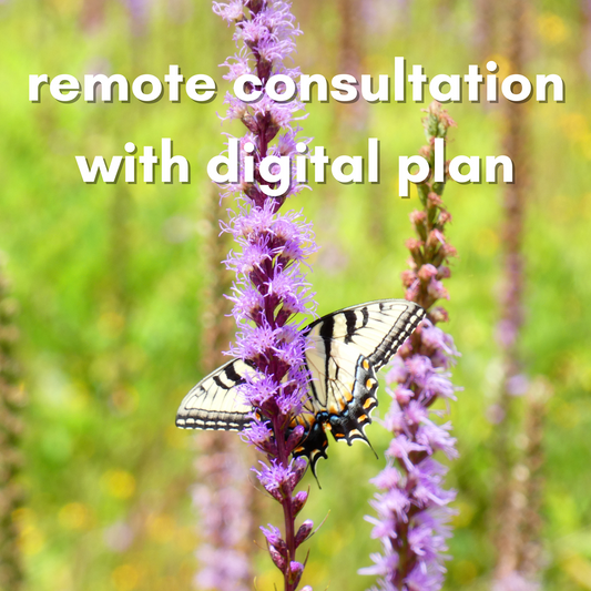 Remote/Long Distance Virtual NC and SC Piedmont Native Plant Garden Consultation and Plan