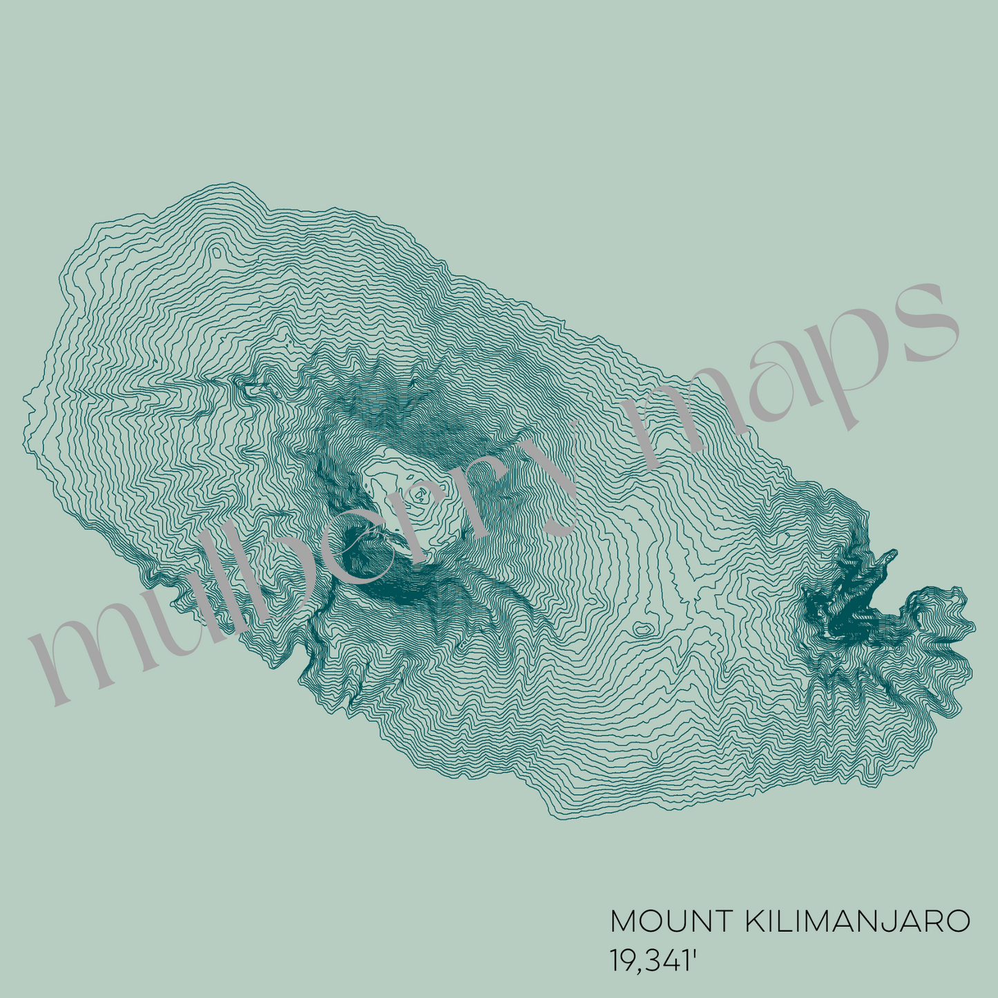 Mount Kilimanjaro Tanzania Mountain Topographic Map