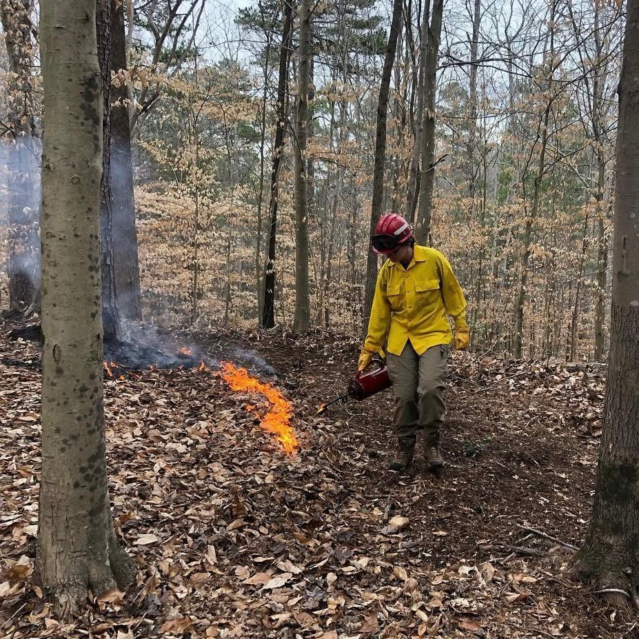 NC and SC Piedmont Native Plant Garden Consultation and Plan