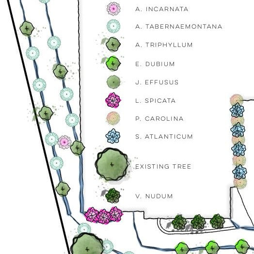 NC and SC Piedmont Native Landscape Design