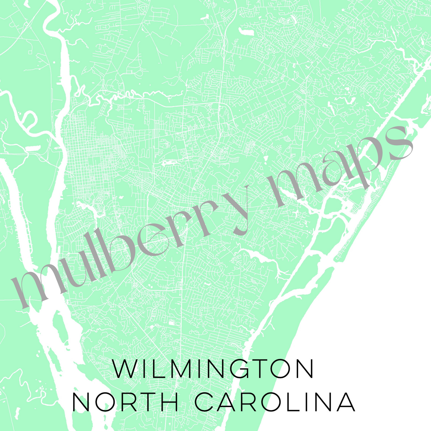 Wilmington North Carolina Map • Wilmington NC Custom Map