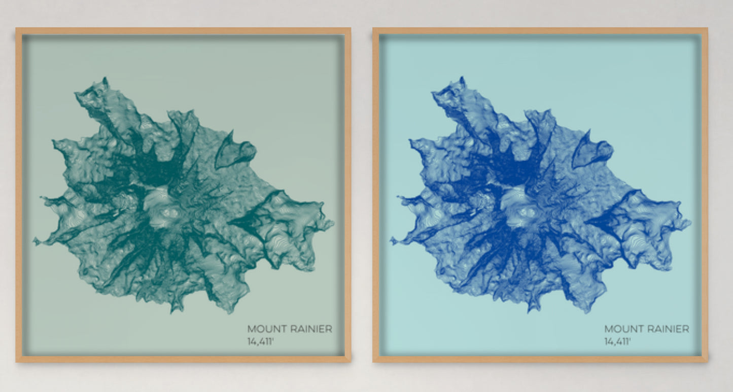 Mount Rainier Washington Mountain Topographic Map