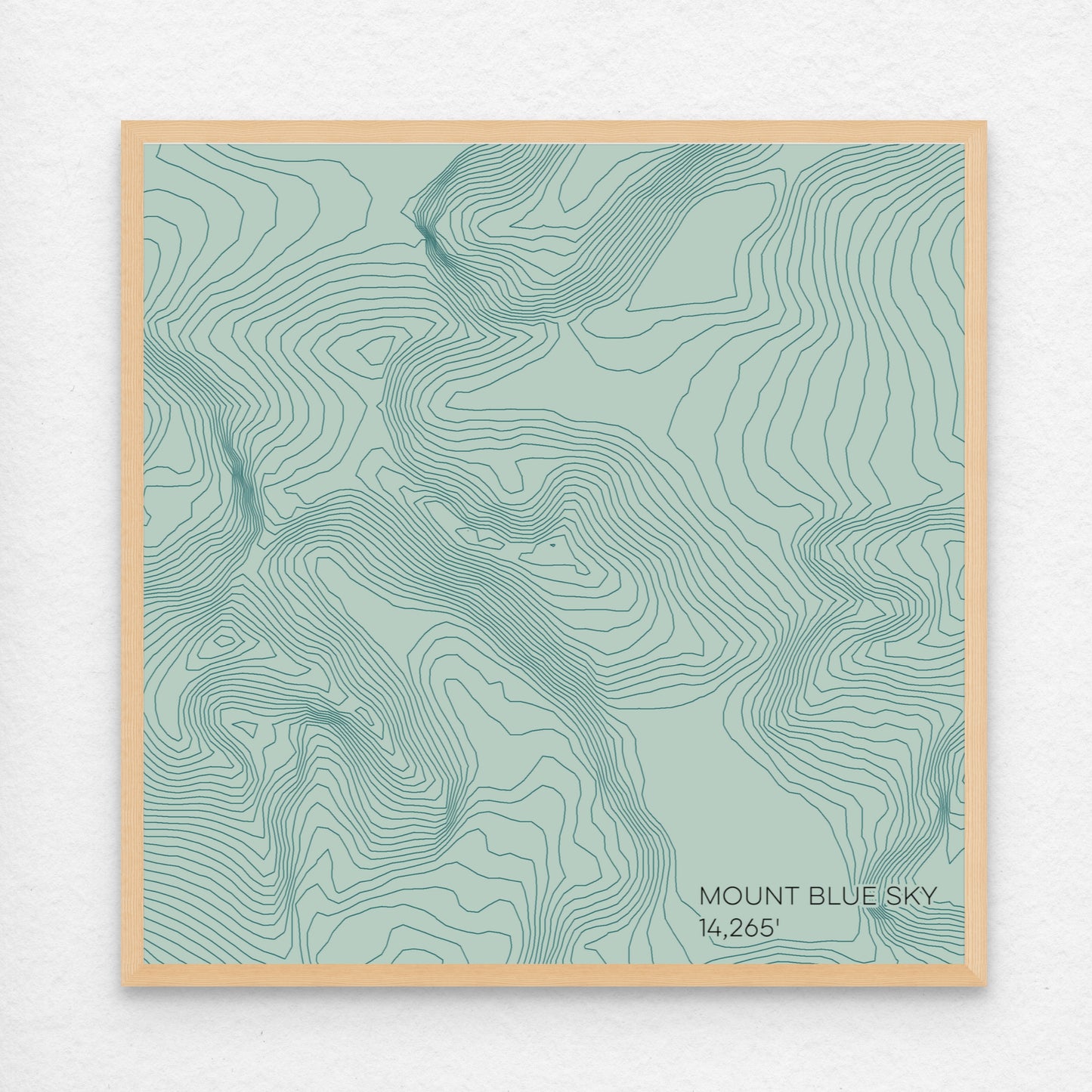 Mount Blue Sky Colorado Mountain Topographic Map