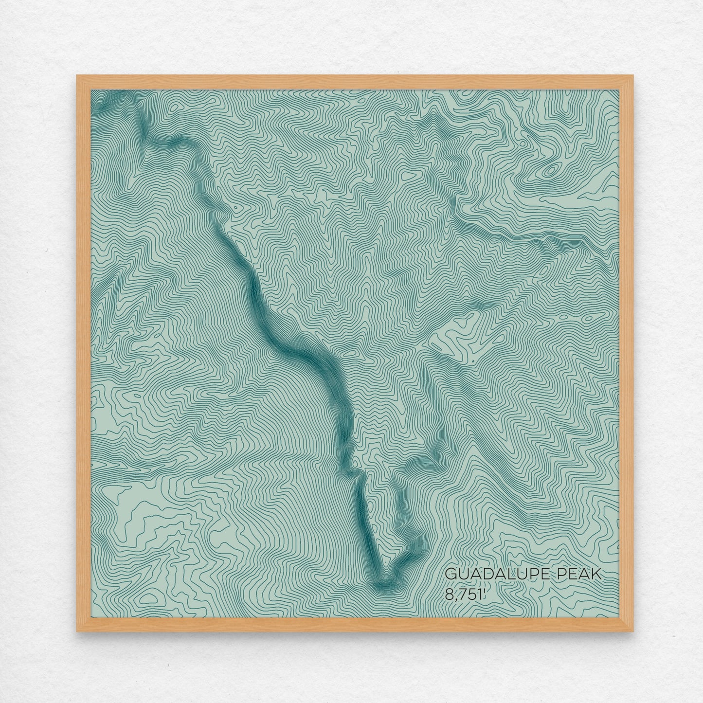 Guadalupe Peak Texas Mountain Topographic Map