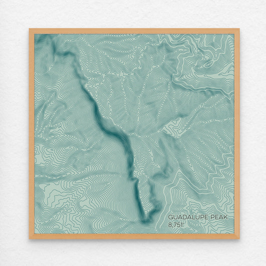 Guadalupe Peak Texas Mountain Topographic Map