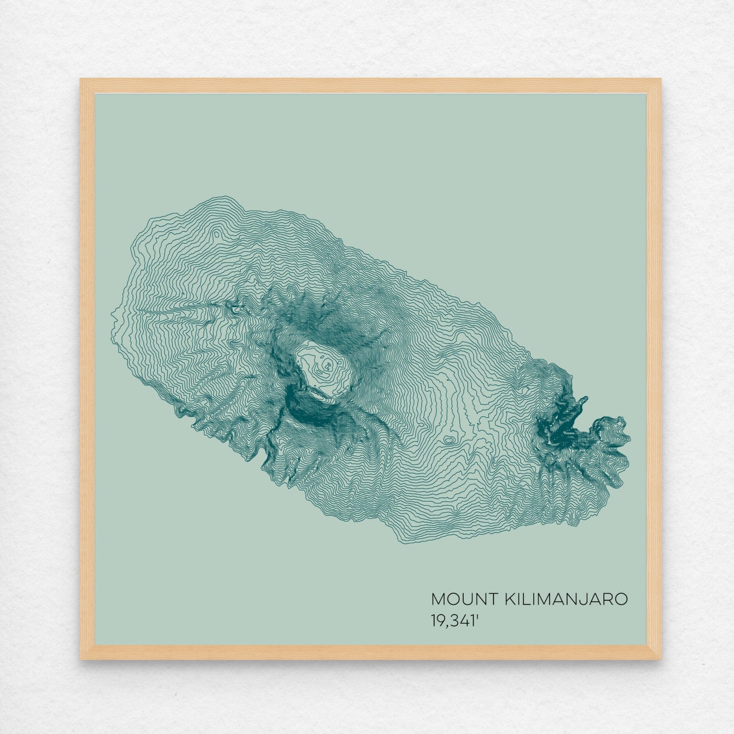 Mount Kilimanjaro Tanzania Mountain Topographic Map