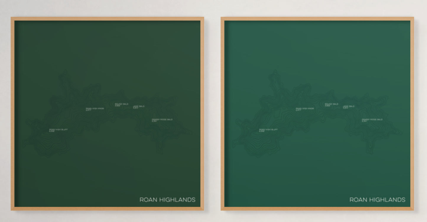 Roan Highlands at Carvers Gap North Carolina and Tennessee Mountain Topographic Map