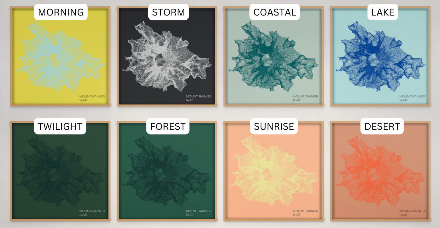 Mount Rainier Washington Mountain Topographic Map