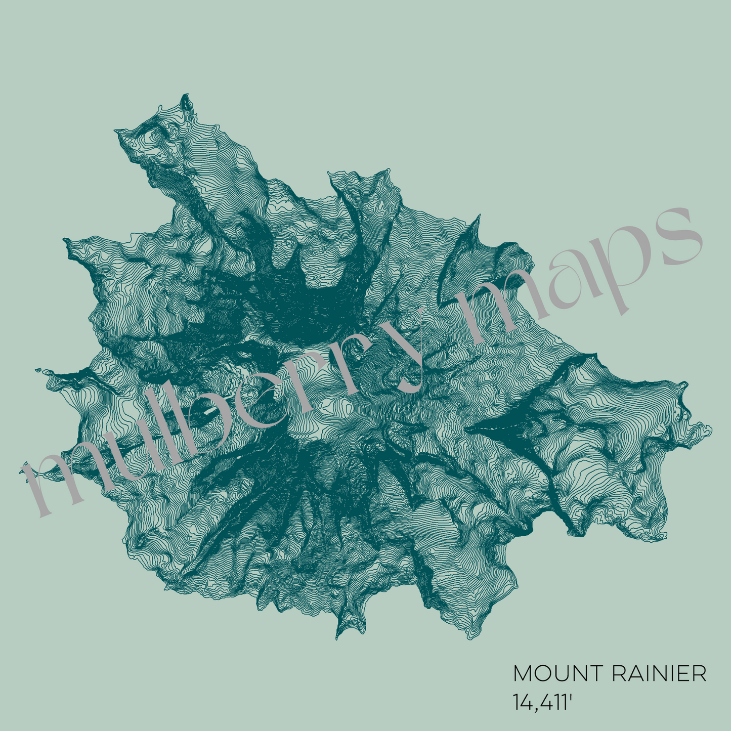 Mount Rainier Washington Mountain Topographic Map