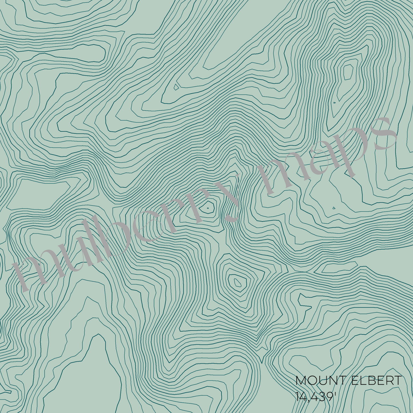 Mount Elbert Colorado Mountain Topographic Map