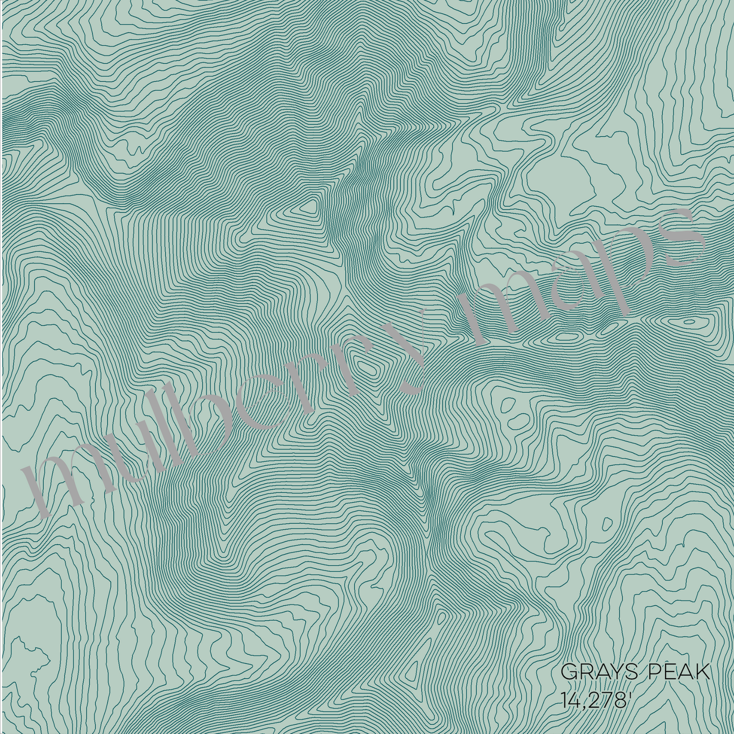 Grays Peak Colorado Mountain Topographic Map