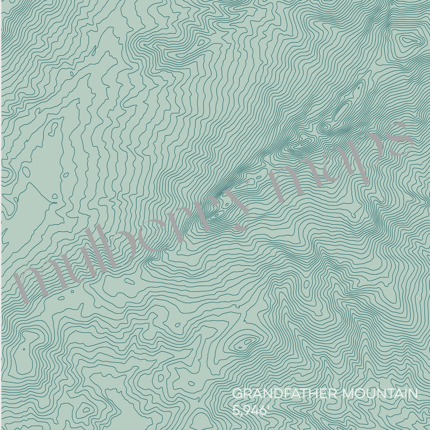 Grandfather Mountain North Carolina Mountain Topographic Map