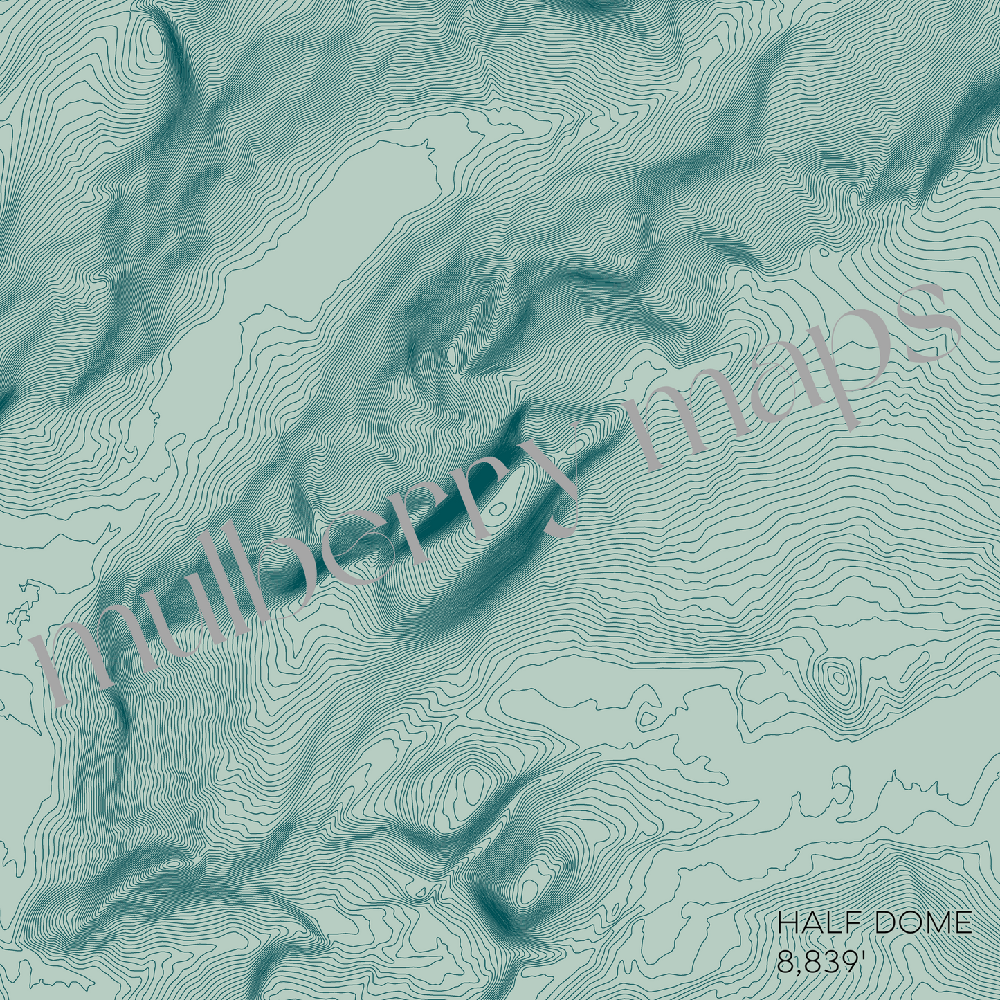 Half Dome Yosemite Mountain Topographic Map