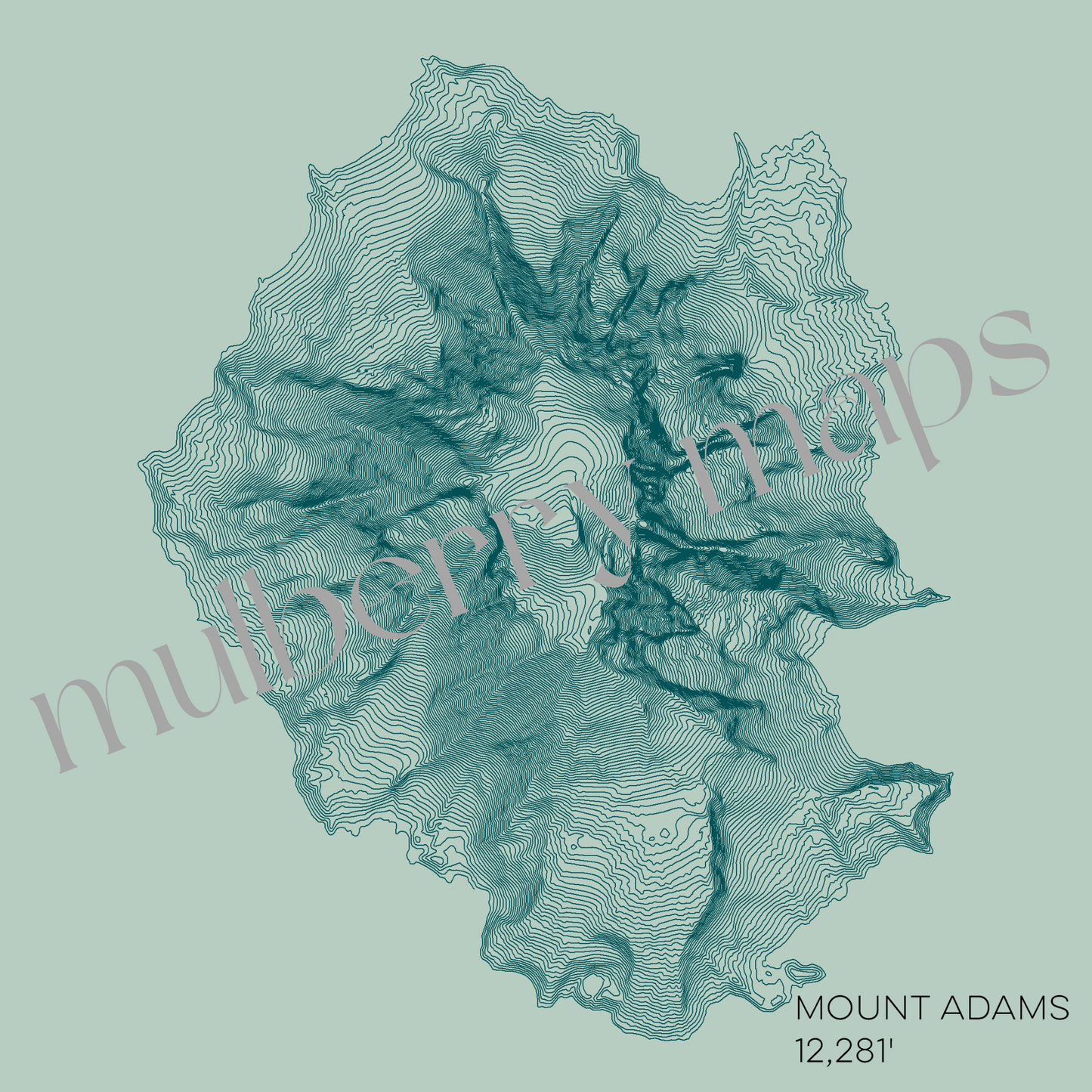 Mount Adams Washington Mountain Topographic Map