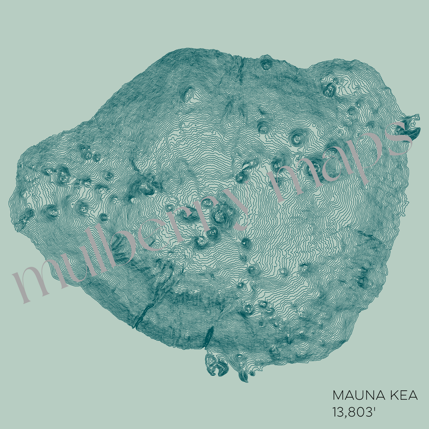 Mauna Kea Hawaii Mountain Topographic Map