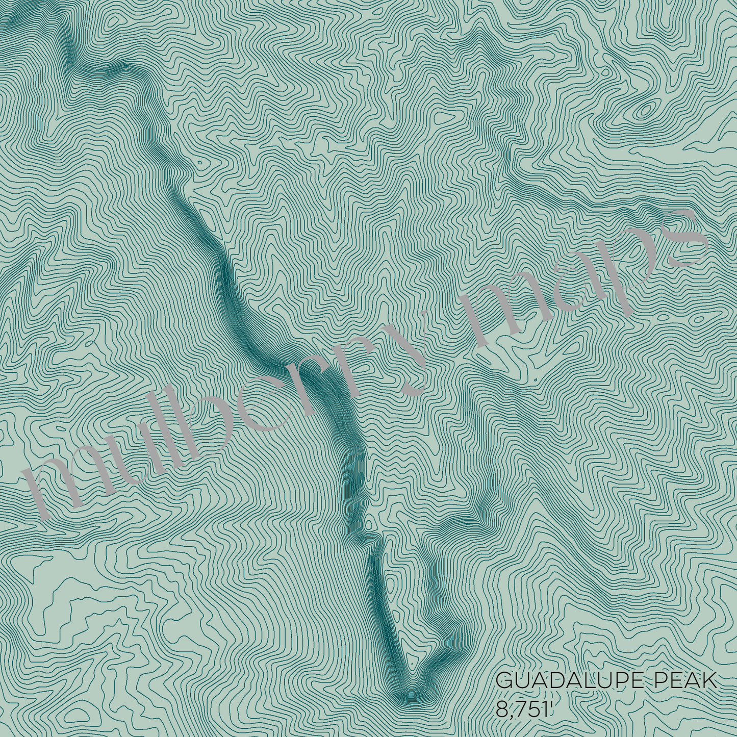 Guadalupe Peak Texas Mountain Topographic Map