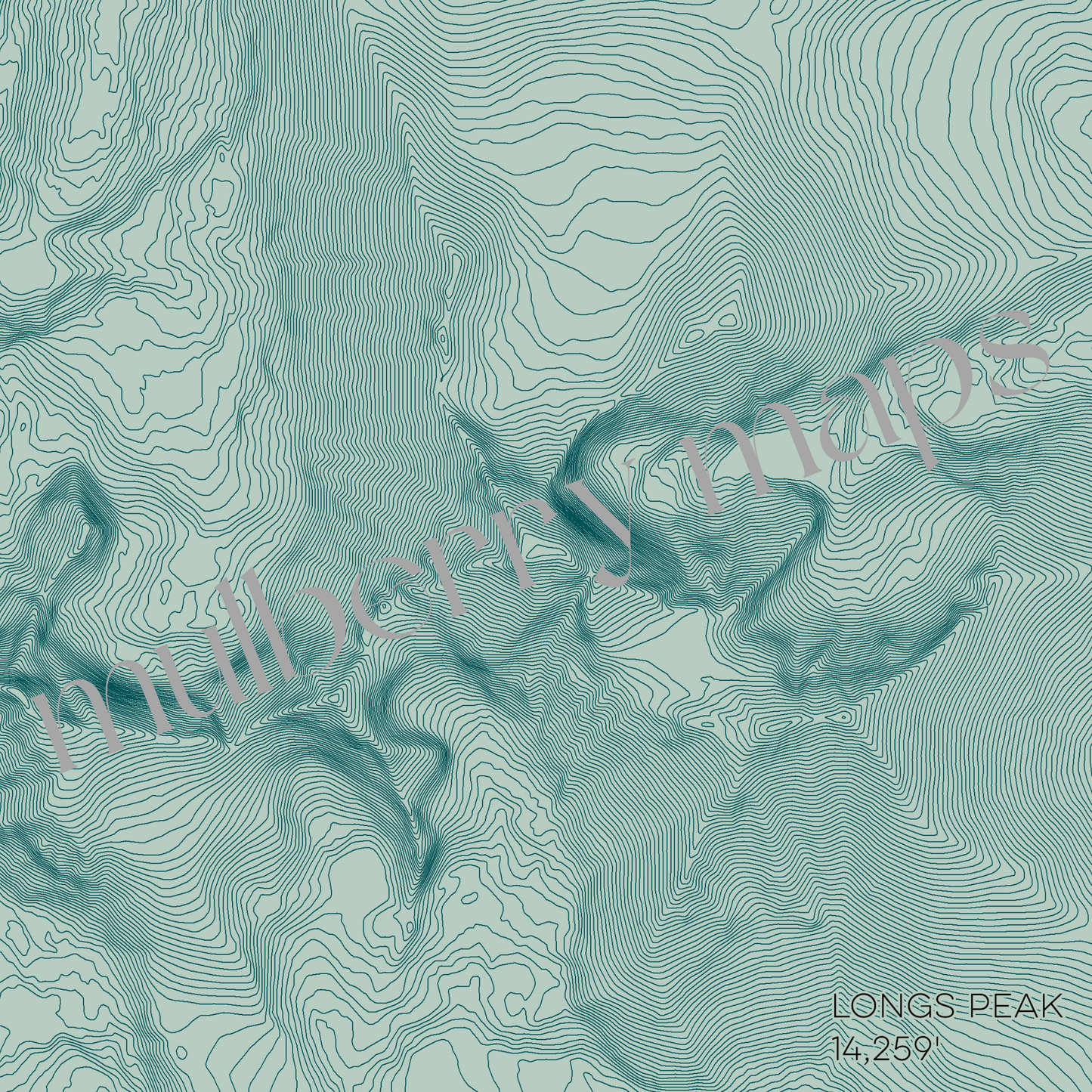 Longs Peak Colorado Mountain Topographic Map