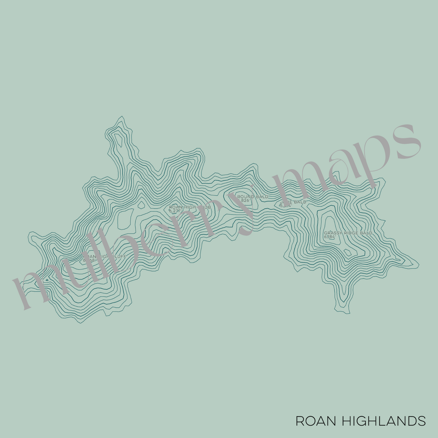 Roan Highlands at Carvers Gap North Carolina and Tennessee Mountain Topographic Map