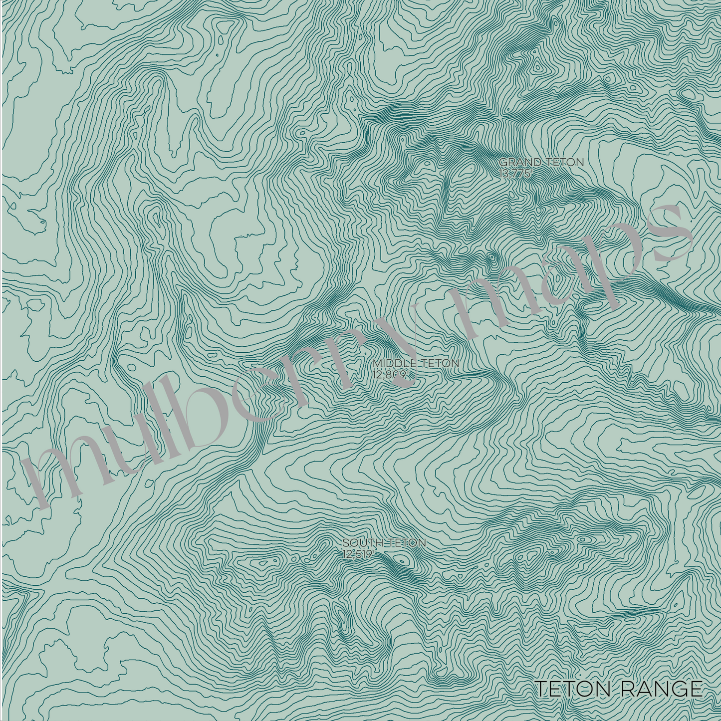 Teton Range Wyoming Mountain Topographic Map