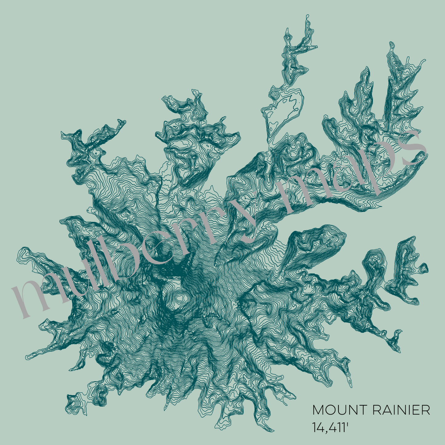 Mount Rainier Washington Mountain Topographic Map